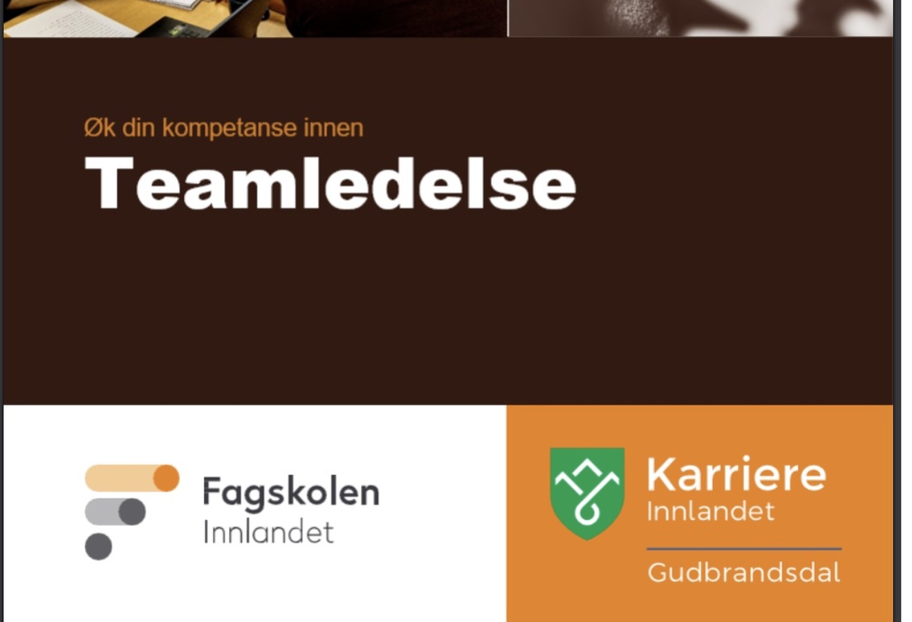 Teamledelse