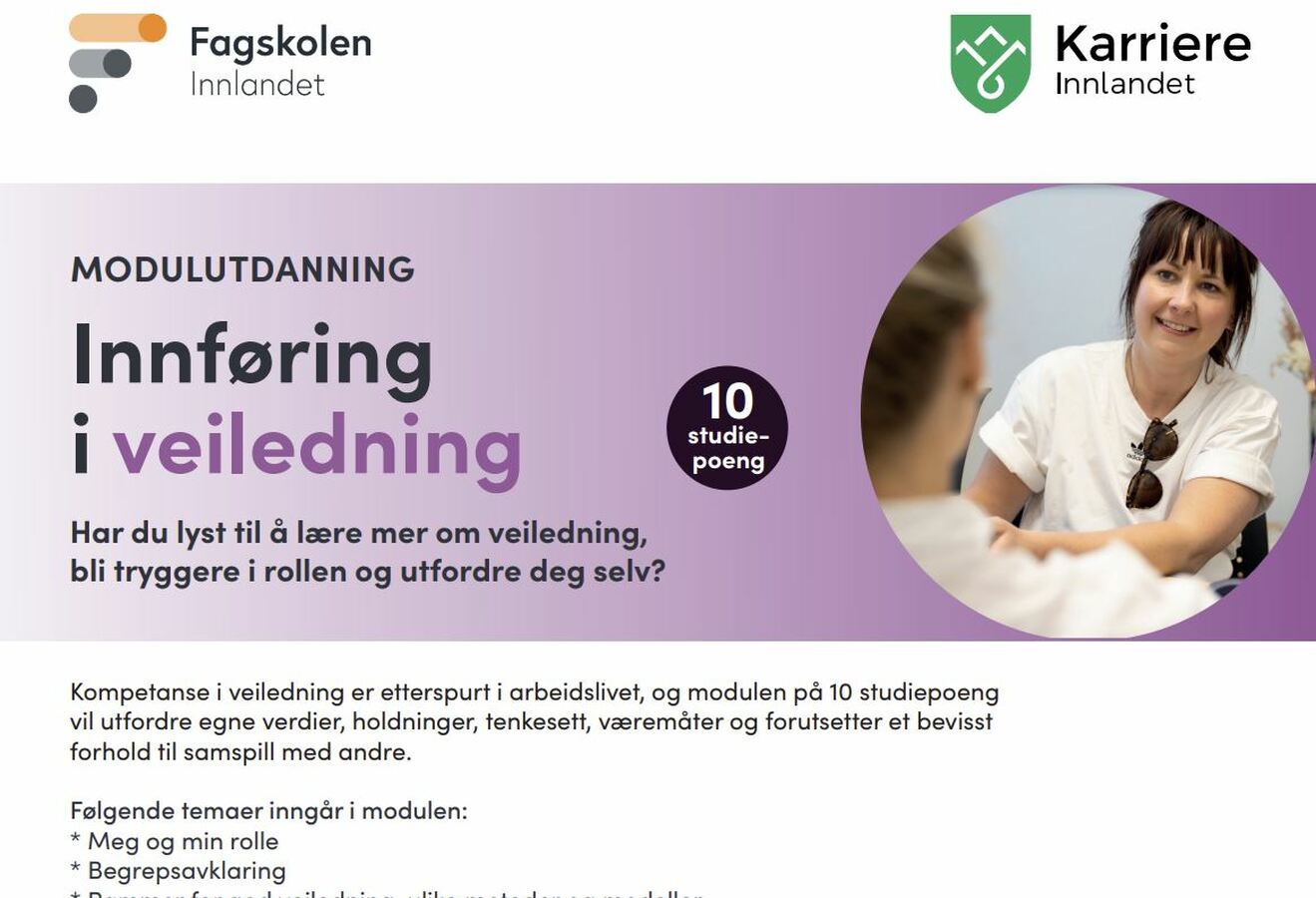 veiledning